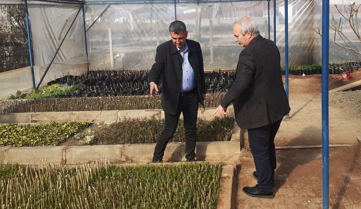  Adana Kozan’da İlçe Belediyenin Ürettiği Bitkilerle Güzelleşiyor