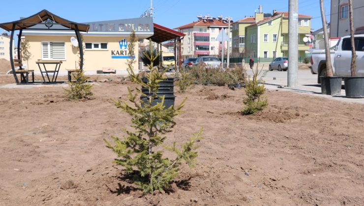  Beyşehir Belediyesi Ağaçlandırma Çalışmalarına Hız Verdi