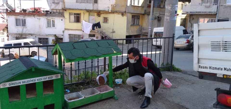  Giresun Belediyesi Sokak Hayvanları İçin Her Daim Görev Başında