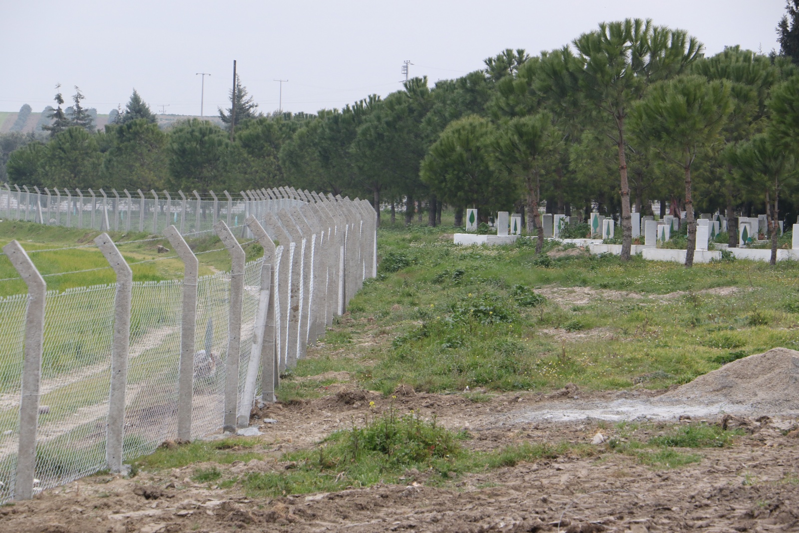  Manisa Büyükşehir İl Genelinde Mezarlıkları Koruyor