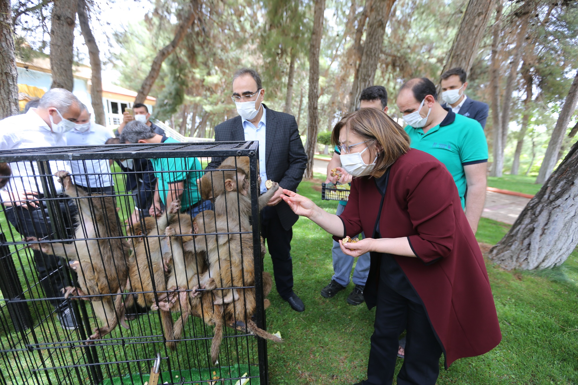  Gaziantep Hayvanat Bahçesine Yeni Üyeler Katıldı