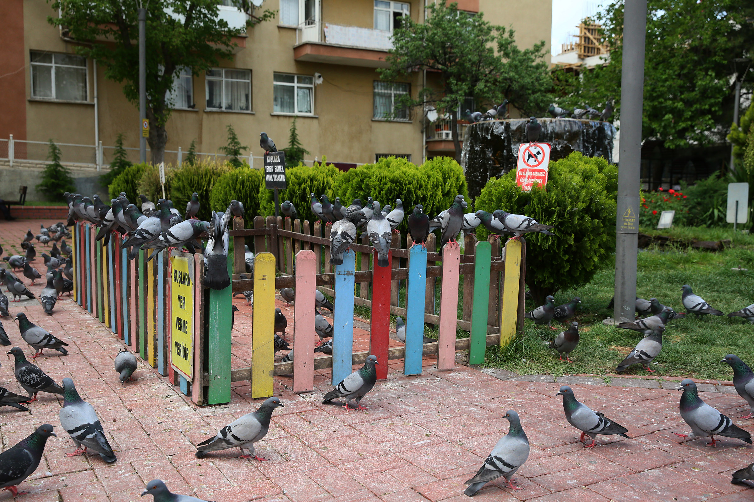  Keçiören’de Kuş Besleme Noktaları Yaygınlaştırıldı