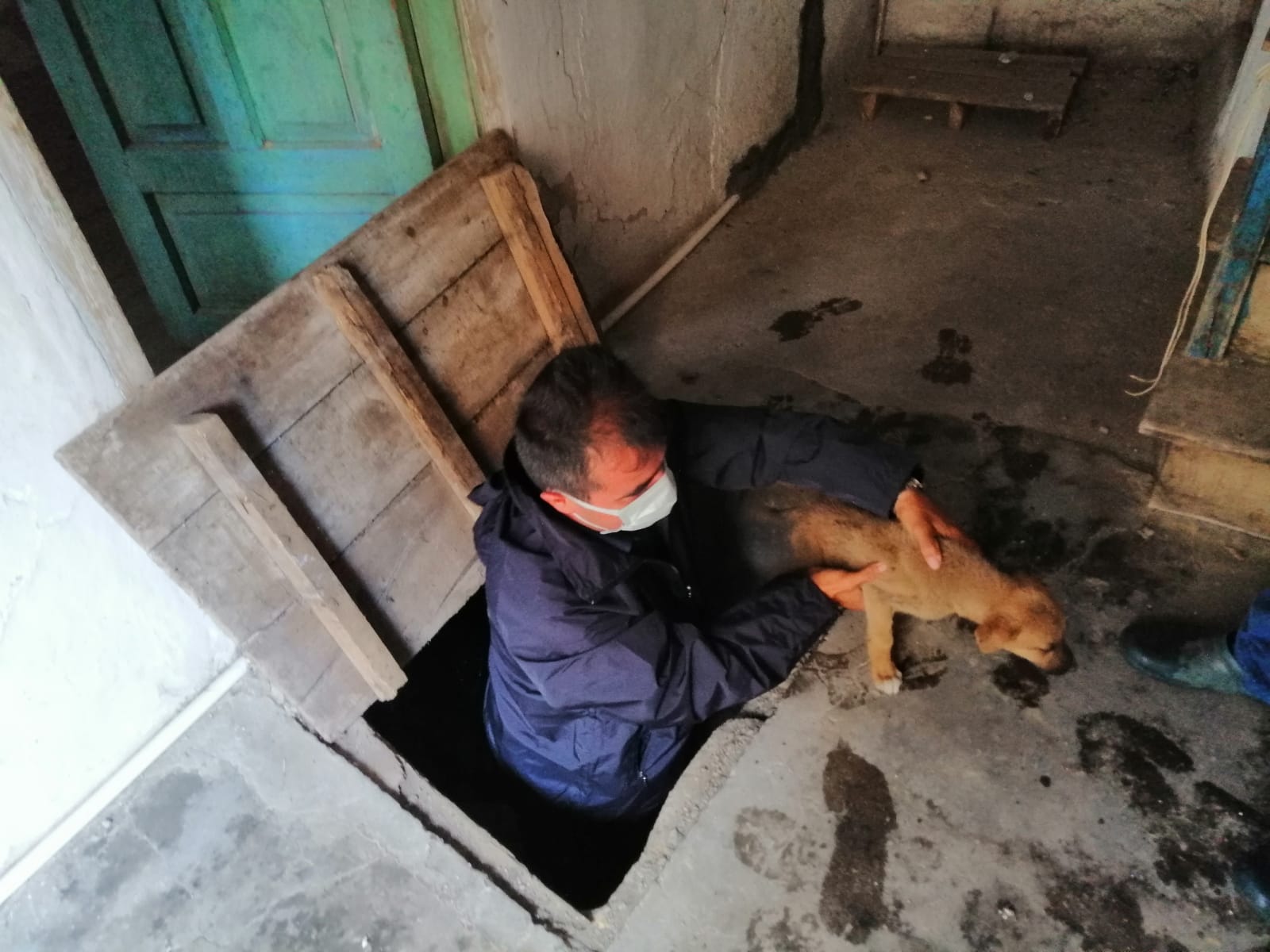  Bayat Belediyesi Zabıta Ekipleri Mahsur Kalan Köpeği Kurtardı