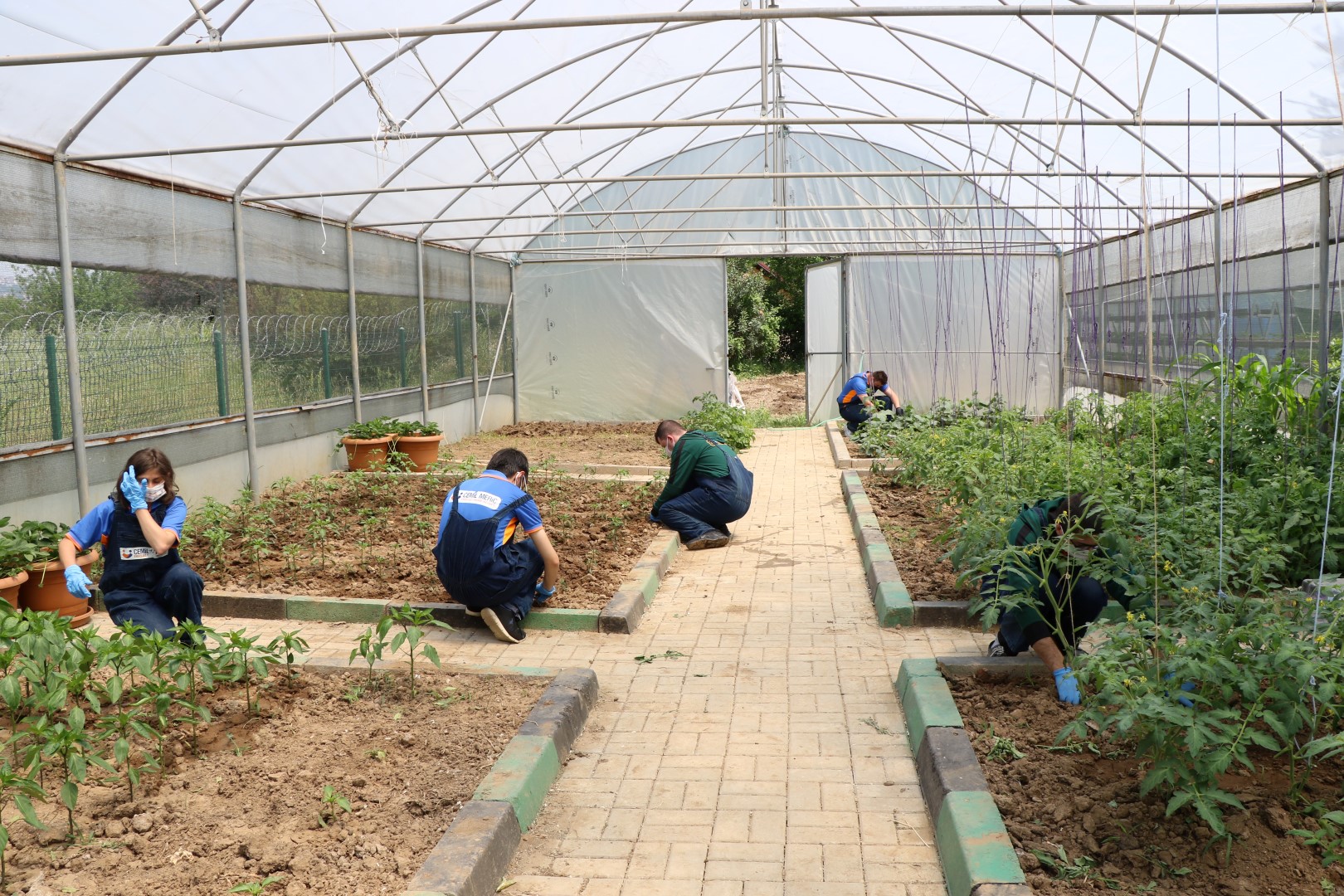  Kocaeli Büyükşehir, Özel Öğrencilere Tarımsal Rehabilitasyon Eğitimi Veriyor