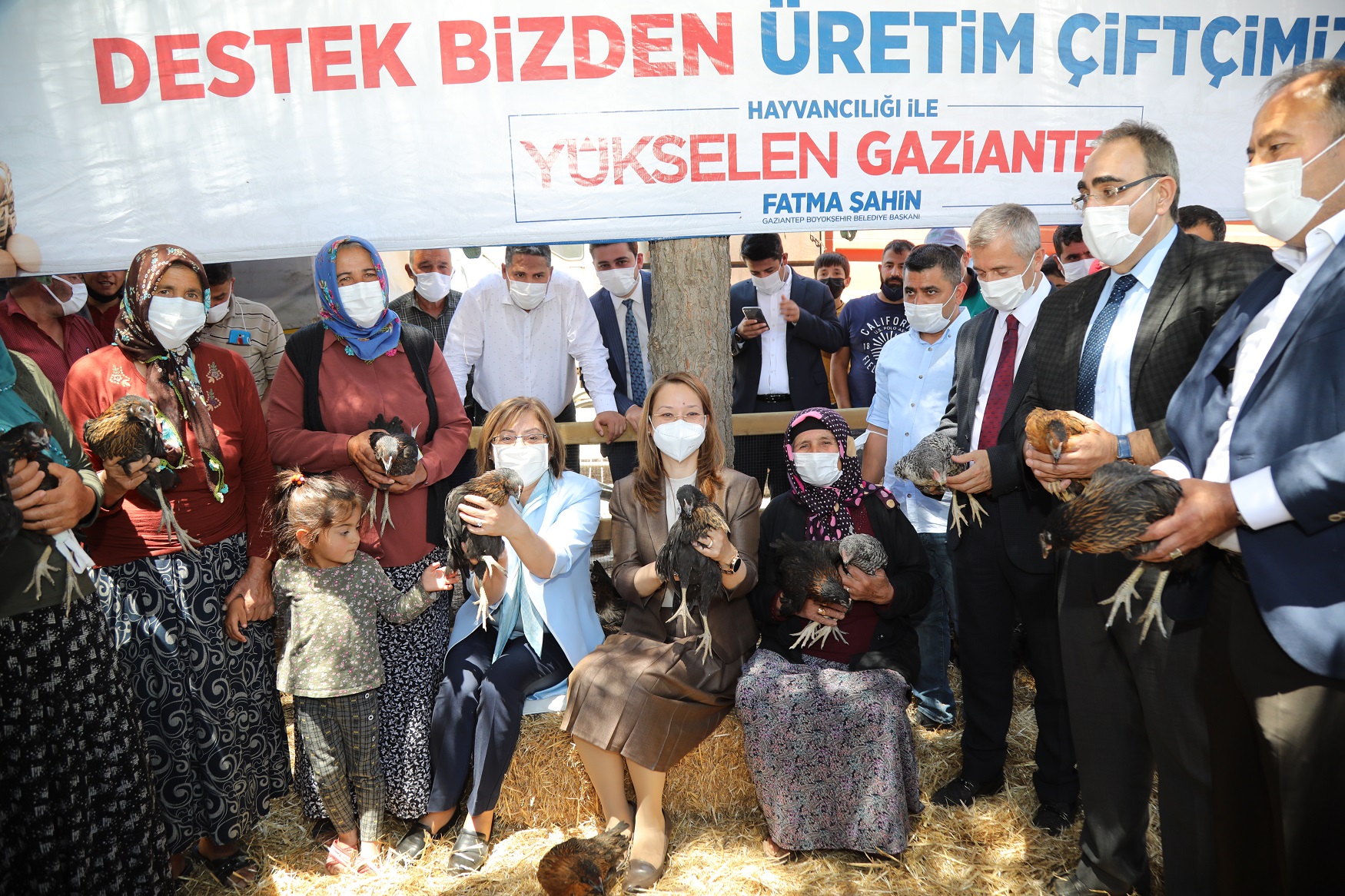  Gaziantep Büyükşehir, 70 Bin Tavuğu Kadın Hayvan Yetiştiricilerine Dağıttı