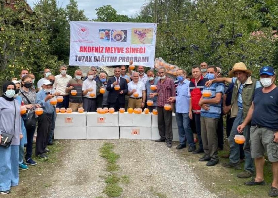  Samsun Büyükşehir, Meyve Sineği’ne Karşı Üreticilere Kitlesel Yakalama Tuzağı Dağıttı