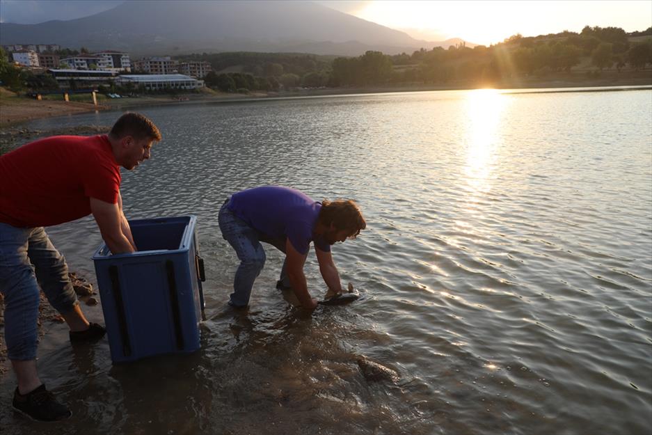  İnegöl Belediyesi,Yenice Göleti’ne 190 Kg Sazan Balığı Bırakıldı