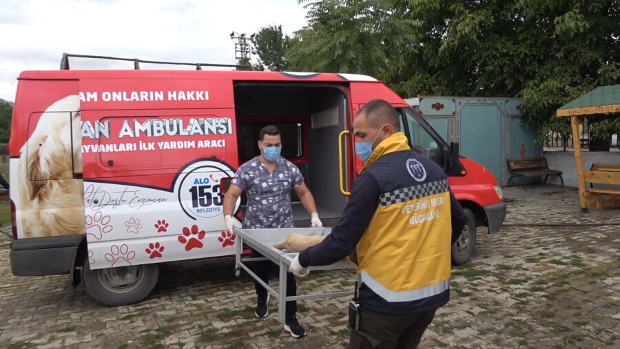  Erzincan’da ‘Hayvan Ambulansı’ Hizmete Girdi