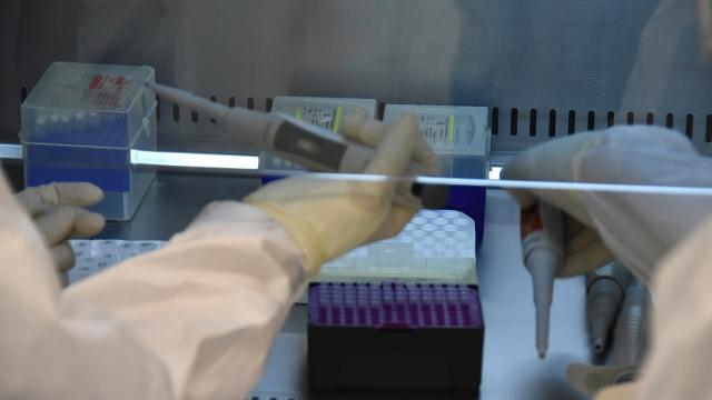  İçişleri Bakanlığı PCR Genelgesi Yayınladı
