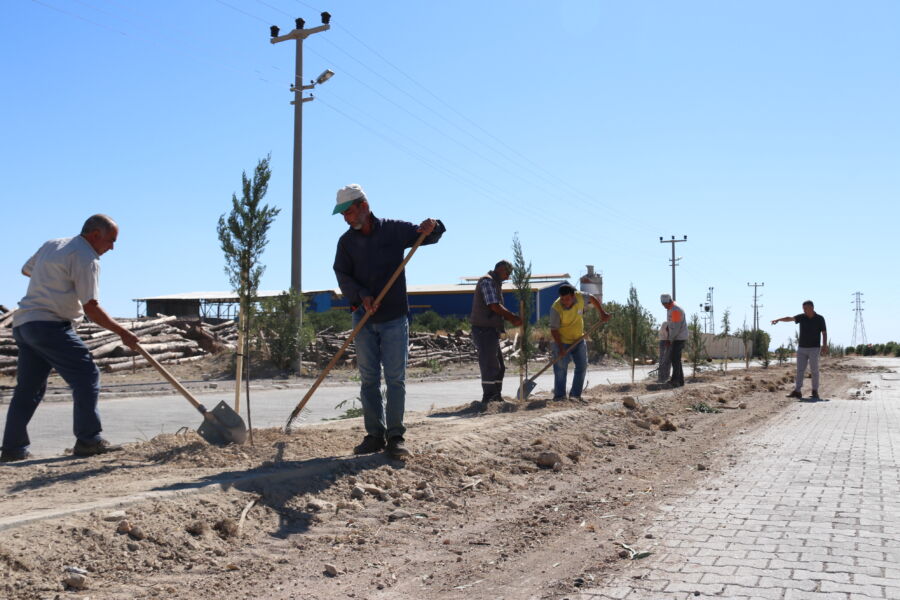  Kozan Belediyesi Organize Sanayi Bölgesine Ağaç Dikimi Gerçekleştirdi