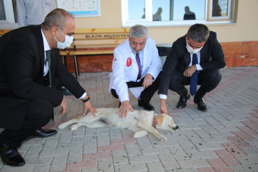  Elazığ Belediyesi Hayvan Bakımevi ve Rehabilitasyon Merkezi’ni Ziyaret Etti