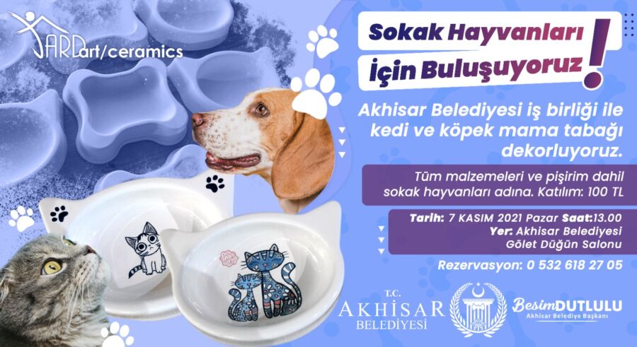  Akhisar Belediyesi Sokak Hayvanları İçin Örnek Projeyi Hayata Geçirdi