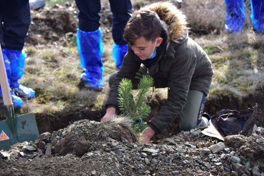  Bozüyük Belediyesi, Poyra Köyü’nde Ağaç Dikimi Gerçekleştirdi