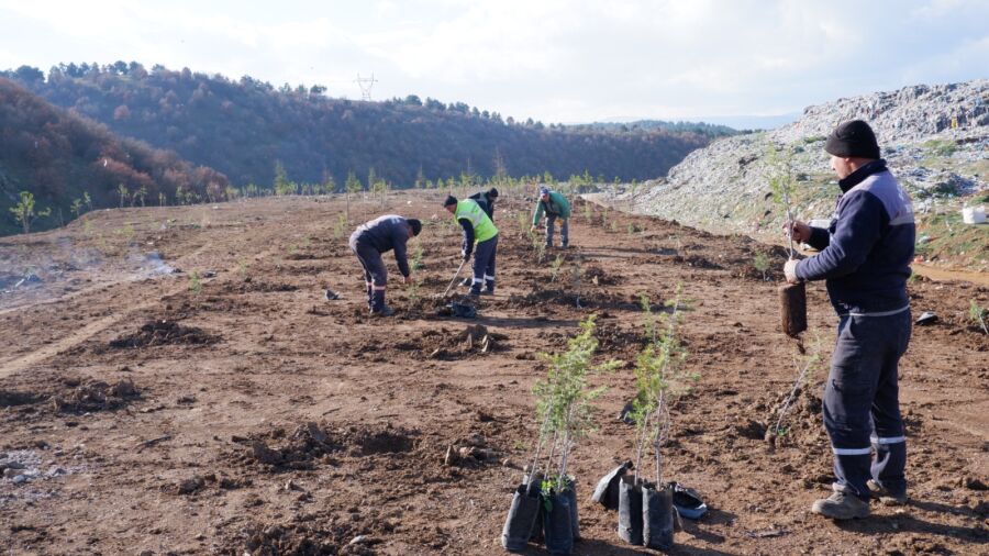  Bozüyük Belediyesi, Ağaçlandırma Çalışmalarına Devam Ediyor