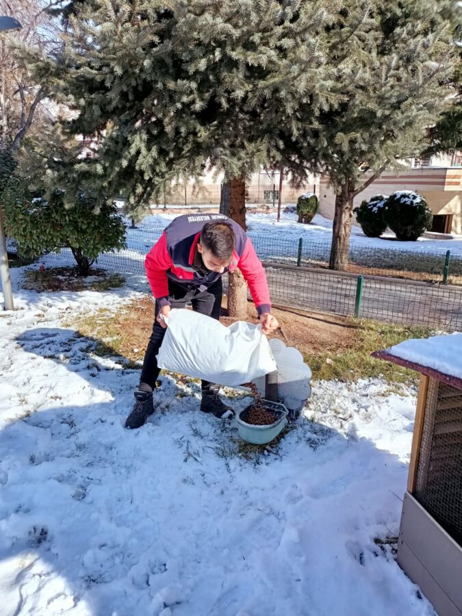  Çankırı Belediyesi’nden Sokak Hayvanlarına Kış Desteği