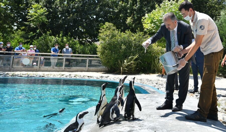  Bursa Büyükşehir’in Hayvanat Bahçesi ‘Halk Günü’ Uygulaması Başlatıyor
