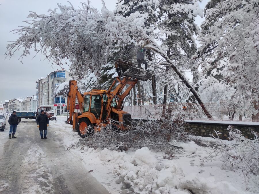  Beyşehir Belediyesi Devrilen Ağaçlara Anında Müdahale Ediyor