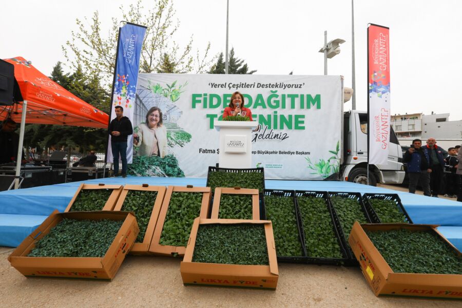  Gaziantep Büyükşehir, Tarımsal Üretime 2 Milyon Fide Desteği Sağladı