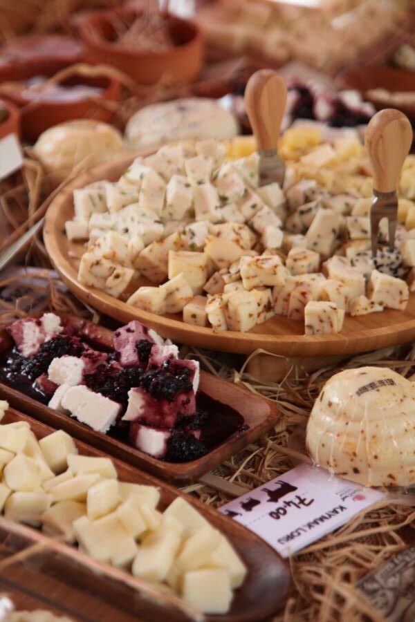  Bodrum’da IV. Uluslararası Peynir Festivali Başladı