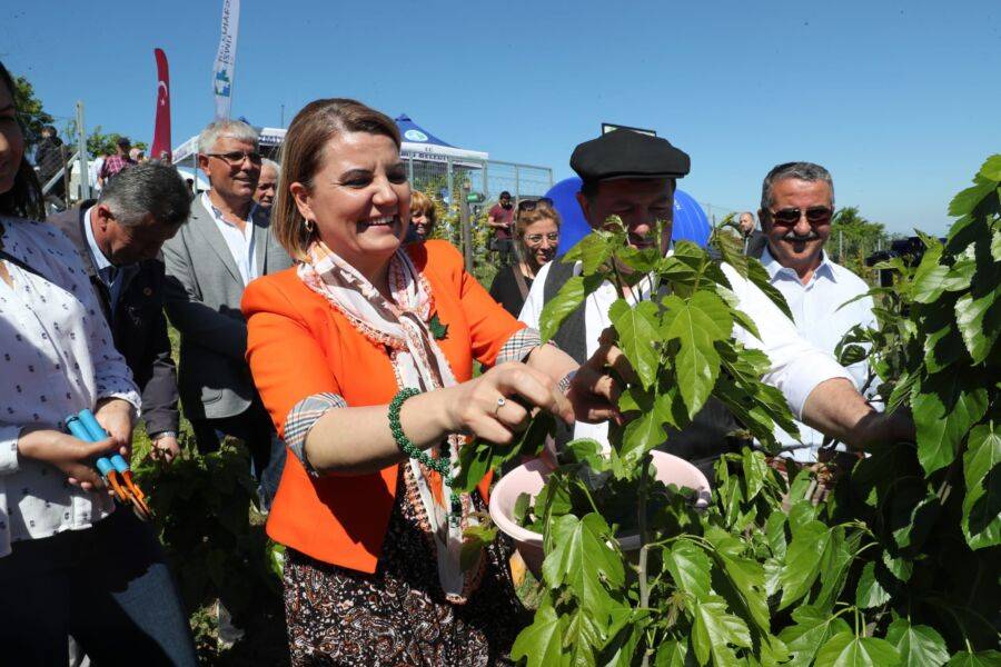  İzmit Belediyesi ‘İpek Böceği Besleme Evi’ni Hizmete Açtı