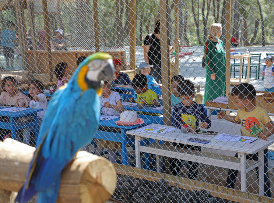  Antalyalı Minik Öğrencilerin Hayvanat Bahçesi Keyfi
