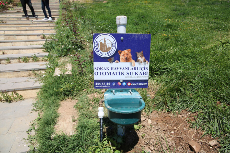 Sivas”ta Can Dostlarına Otomatik Su İkramı 