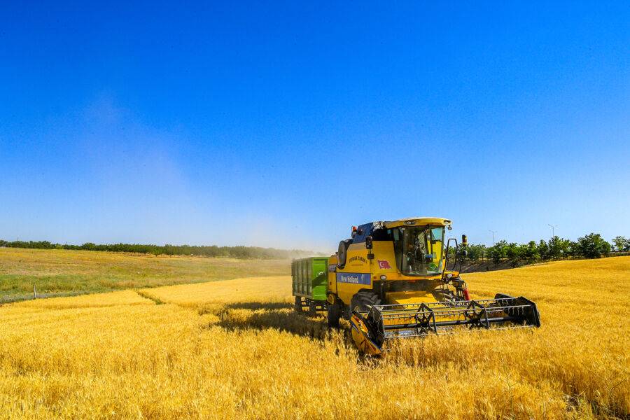  Malatya’da Çiftçilere Dağıtılan Tohumlar Hasat Ediliyor