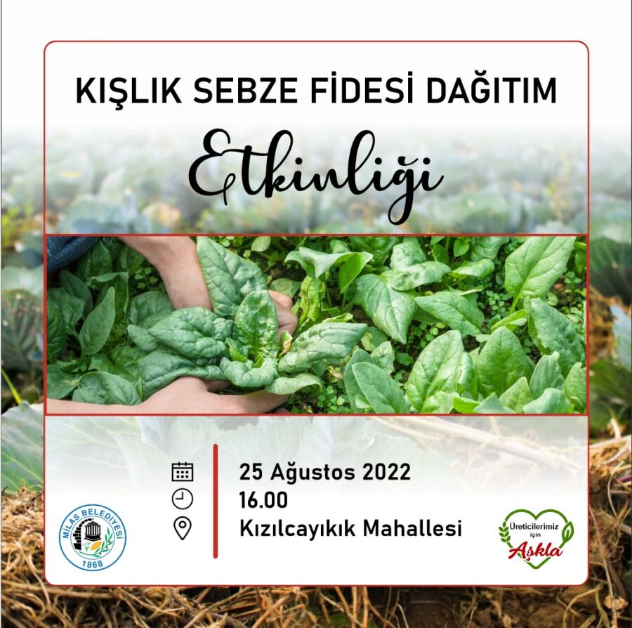  Milas’ta Kışlık Sebze Fidesi Dağıtımı