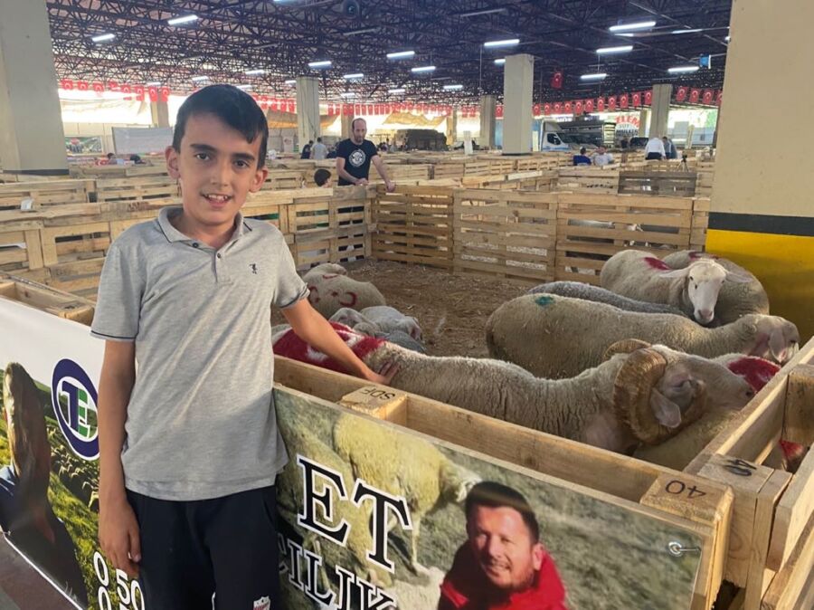  Koyun Keçi Festivaline Yoğun İlgi