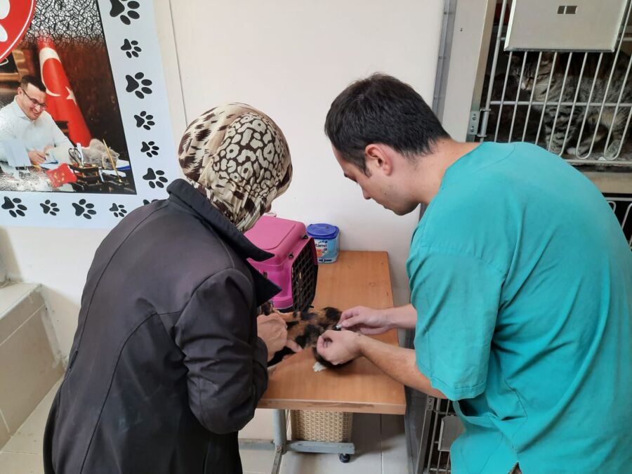  Mustafakemalpaşa Belediyesi’nden Kuduz Aşısı Kampanyası
