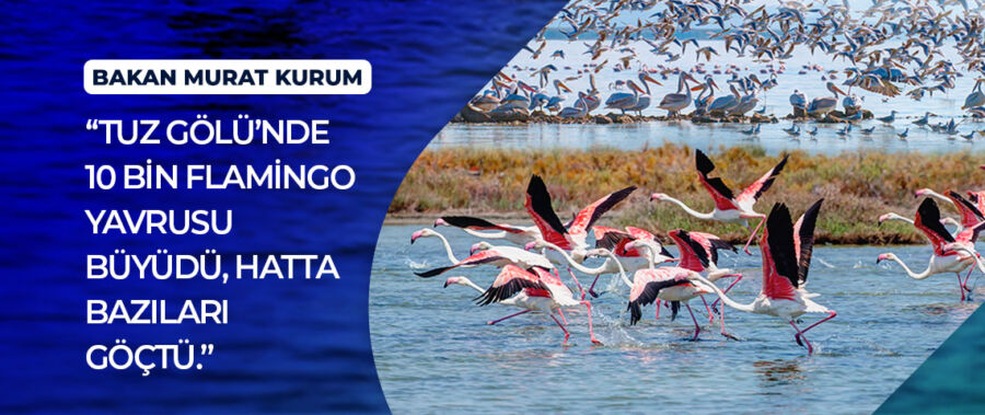  Bakan Murat Kurum’dan Tuz Gölü’ndeki Flamingolara İlişkin Açıklama