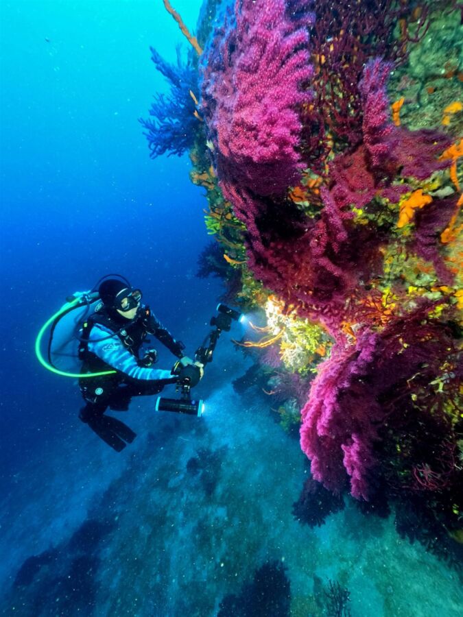  Ayvalık’ın Kırmızı Mercanları Dünya Turizmine Açılıyor
