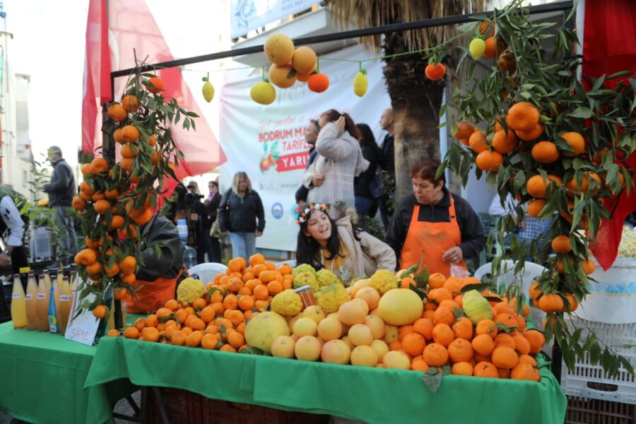  Bol Vitaminli Mis Kokulu Festival