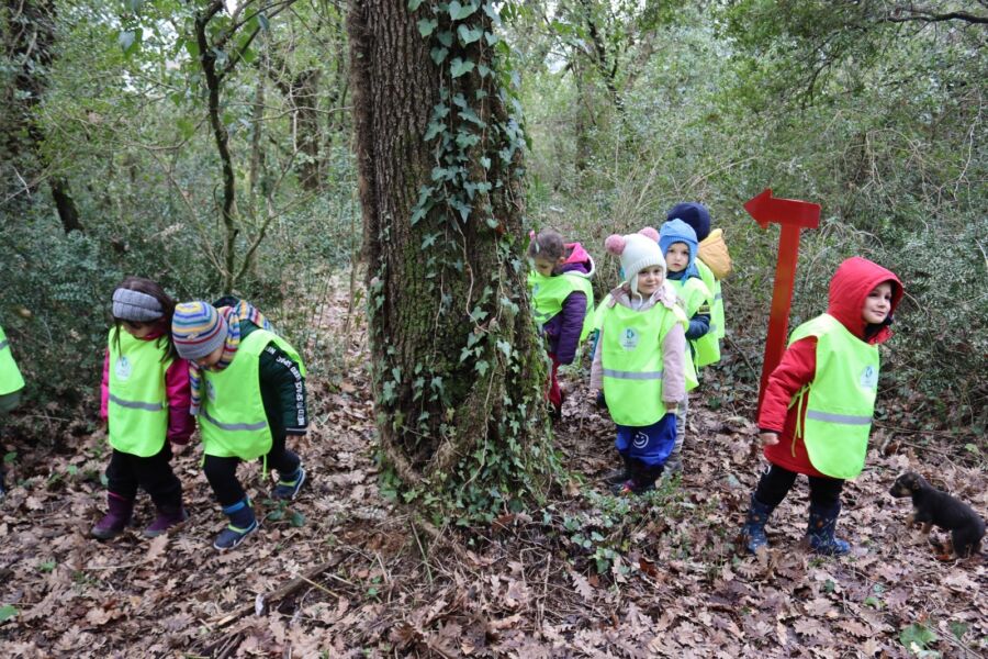  Orman Okulu ile Binlerce Çocuk Hem Eğlendi Hem Öğrendi