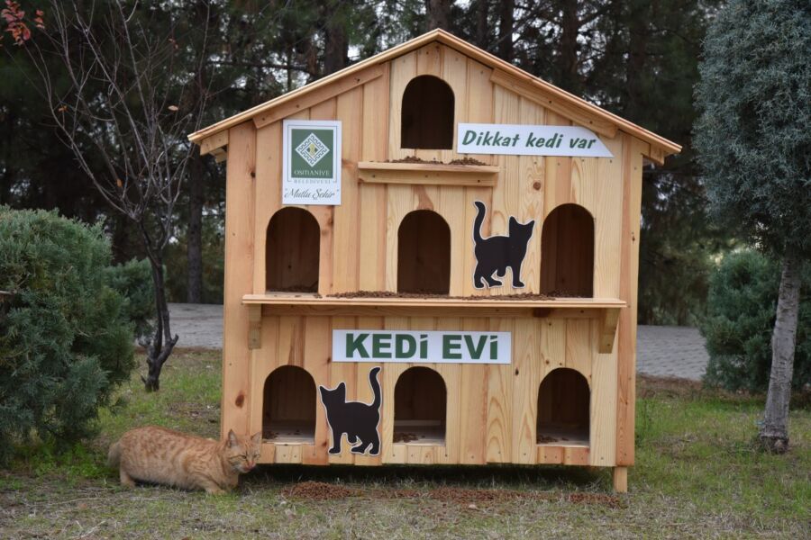  Osmaniye Belediyesi Kedi Evleri Yerleştirmeye Devam Ediyor