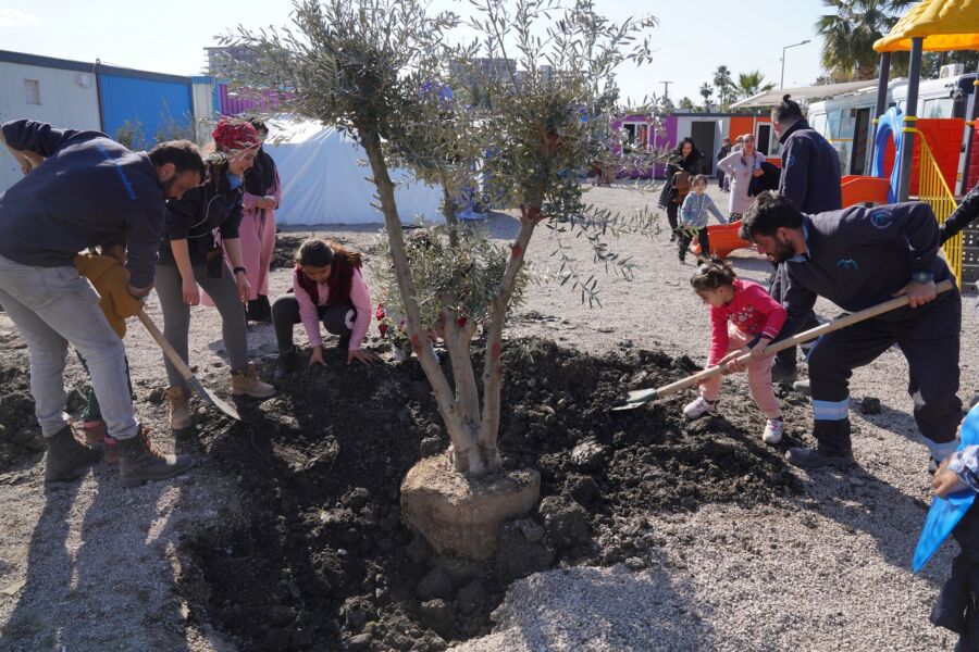  Depremzede Çocuklar Zeytin Ağaçlarına İlk Can Suyunu Verdi