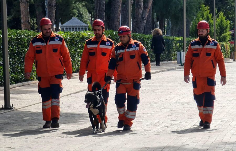  Depremzede Köpek ‘Hayat’, Yeni Hayatlar Kurtaracak