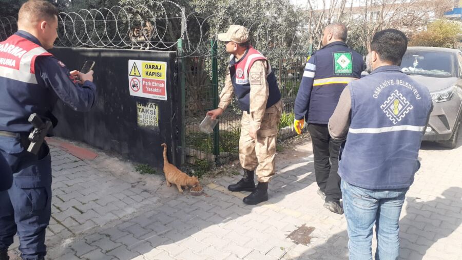  Osmaniye’de İşyerinde Mahsur Kalan Kedi Kurtarıldı