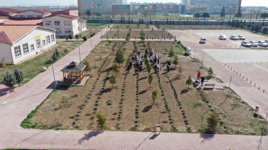  Okulların Bahçelerine Lavanta Bahçeleri Kuruluyor