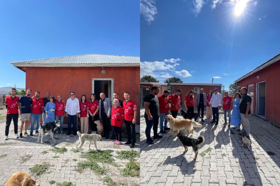  Sokak Hayvanları İçin Gönüllü Veteriner Hekim ve Teknikerler, Ardahan Belediyesi ile Bir Araya Geldi