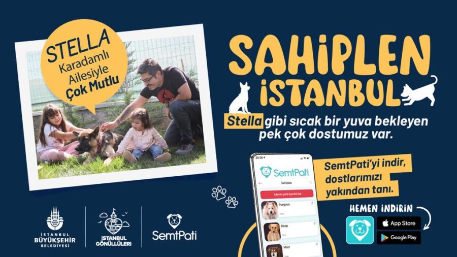  “Sahiplen İstanbul” ile Can Dostları Yeni Yuvalarına Kavuşuyor
