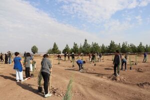  Diyarbakır’da Öğrenciler Milli Ağaçlandırma Günü’nde Fidan Dikti