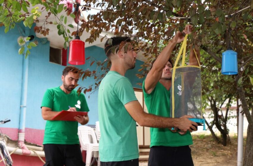 Kocaeli’de Karasineklerle Mücadele