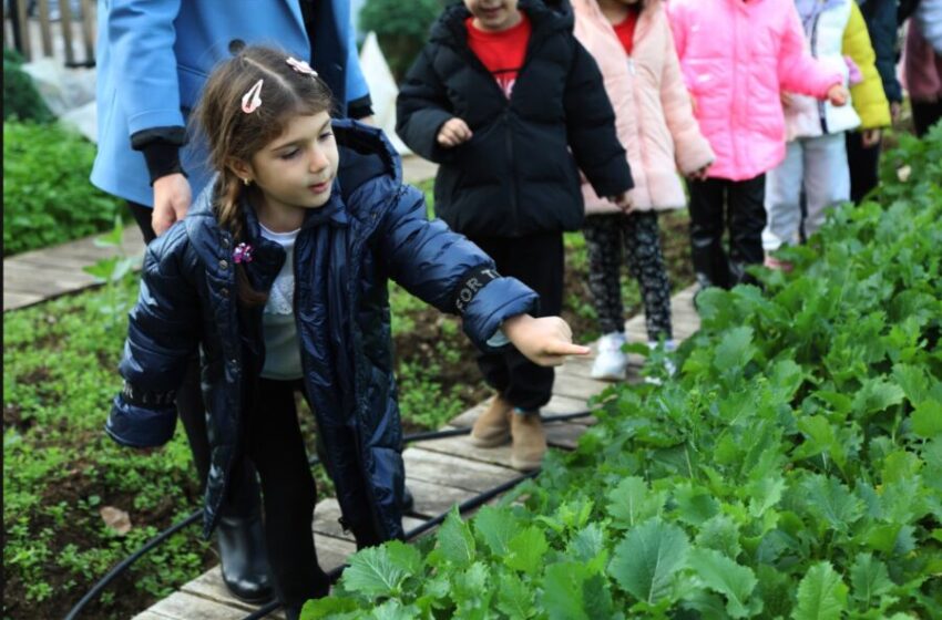 Atakum Belediyesi, Tarımsal Üretime Tam Destek Sağlıyor