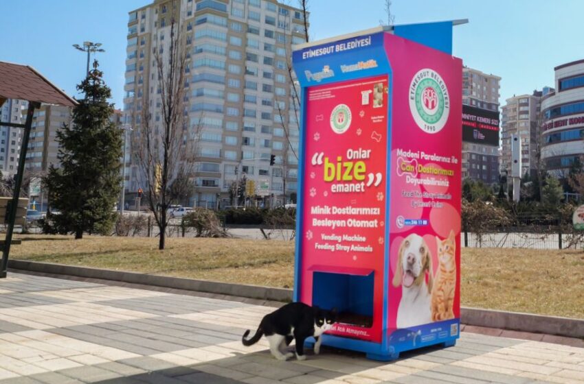 Etimesgut Belediyesi’nde Güneş Enerjisi ile Çalışan Mamamatikler Sokaklardaki Yerini Aldı