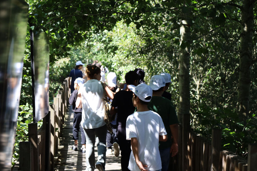  İsveç’te başlayan ‘plogging’ akımı Karasu Sahili’ne ulaştı: Elde poşetlerle baştan sona kadar…